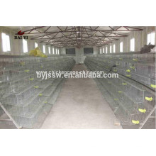 Trade Assurance A & H Type Quail Layer Cage Wholesale